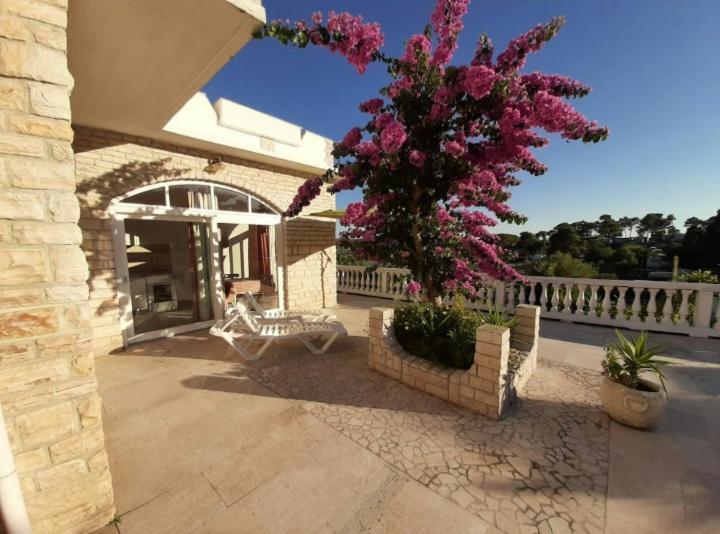Apartments&rooms Mila
